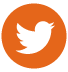 redes Twitter